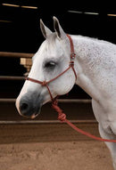 EASY ON ROPE HALTER