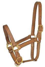 LEATHER TURN OUT HALTERS