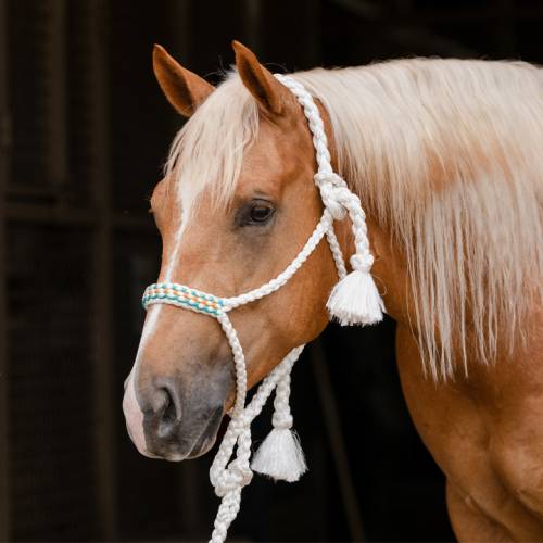 COWBOY BRAIDED ROPE HALTER