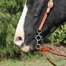 Short Shank Bit - Smooth Snaffle