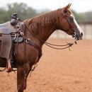 PROFESSIONAL CHOICE SPLIT REINS