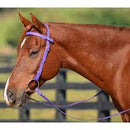 BIOTHANE BROWBAND HEADSTALL