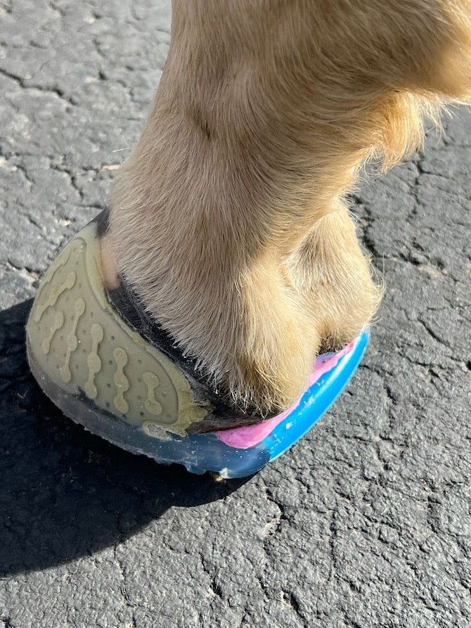 EasyShoe One