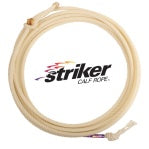 STRIKER