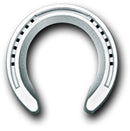 VICTORY ELITE COMPETITION WEDGE