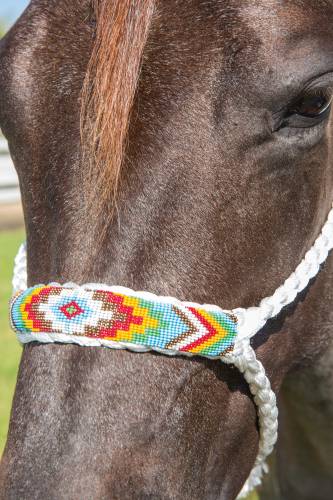 COWBOY BRAIDED ROPE HALTER