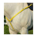 BIOTHANE BREAST COLLAR