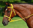 BIOTHANE BROWBAND HEADSTALL